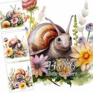 Clipart lumaca floreale, Bundle Clipart acquerello, 14 immagini JPG di alta qualità, Clipart botanico, Download digitale, Sublimazione, Creazione di carte