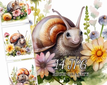 Paquete de imágenes prediseñadas de caracoles florales en acuarela: 14 imágenes JPG (descarga digital)