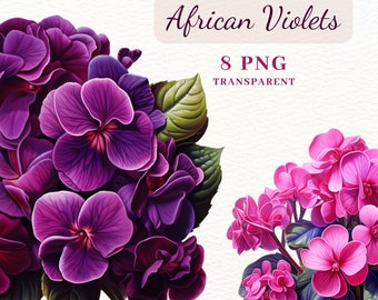 African Violets Clipart, Flowers Clipart Bundle, 8 PNG Clipart Bundle, Pansy Clipart, Floral Clipart Images for Cards Making, Sublimation