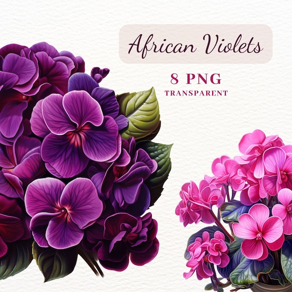 African Violets Clipart, Flowers Clipart Bundle, 8 PNG Clipart Bundle, Pansy Clipart, Floral Clipart Images for Cards Making, Sublimation