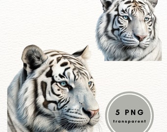 Watercolor White Tiger Clipart, Safari Animal PNG Set (Digital Download)