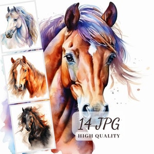 Puede incluir: Una descarga digital de 14 pinturas de acuarela de alta calidad de caballos. Las imágenes presentan retratos de cerca de caballos con diferentes colores de pelaje y crines.