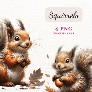 Niedliches Eichhörnchen Clipart, 4 hochwertige PNG-Bilder, PNG Clipart Bundle, Waldtierkunst, Printables Eichhörnchen Bilder, digitaler Download, POD