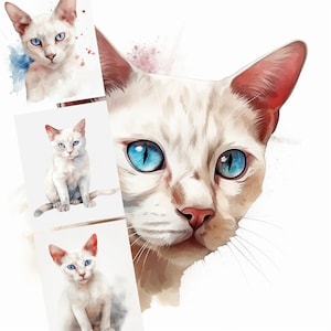 Clipart chat blanc - 7 fichiers JPG de haute qualité - T-shirts, tasses, créations numériques en papier, techniques mixtes, cadeaux - Licence commerciale - Téléchargement immédiat