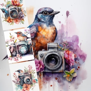 Watercolor birds and camera clipart, Nursery Clipart Bundle, Birds Clipart, Cute bird, Scrapbooking, Crafting Bundle, Digital Paper