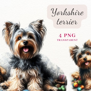 Yorkshire Terrier Clipart, High Quality 4 PNG Images, PNG Clipart Bundle, Dogs Clipart for Cards Making, Scrapbook Papers, Mug Design, POD