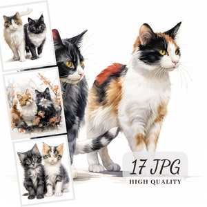 Clipart de dois gatos, 17 imagens JPG de alta qualidade de gatos coloridos para fazer cartões, sublimação, arte de parede, artesanato em papel, POD permitido, álbum de recortes