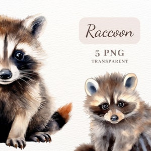 Watercolor Raccoon Clipart, Raccoon Illustrations, 5 High Quality PNG Images, Junk Journal, Digital Image Bundle, Collage Set, Sublimation