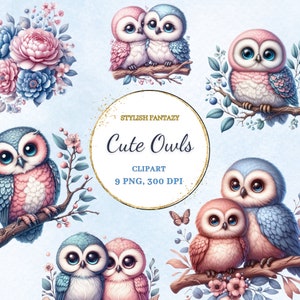Niedliche Eule Clipart Bundle, 9 hochwertige PNG, Eule Sublimation Clipart, bunte Eulen, Eule druckbare, digitaler Download, Kartenherstellung, Scrapbook