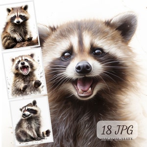 Lot de cliparts raton laveur, 18 images JPG haute qualité, aquarelles d'animaux de la forêt, bébés animaux, oeuvre d'art murale raton laveur pour chambre d'enfant, carnet de voyage