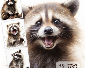 Raccoon Clipart Bundle, 18 High Quality JPG Images, Watercolor Woodland Animals, Baby Animals, Raccoon Nursery Wall Art, Junk Journal