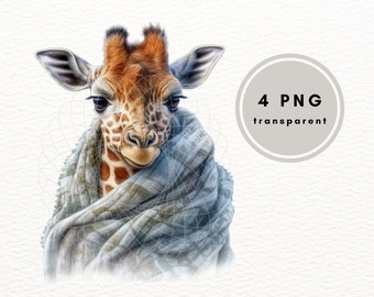 Watercolor Baby Giraffe Clipart, Blanket, Safari Animals (4 PNG Files)