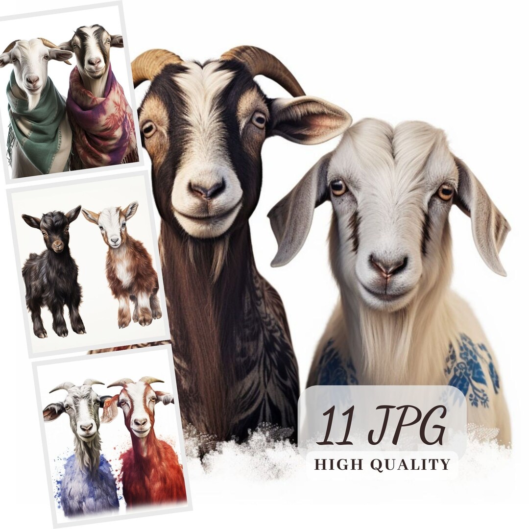 Funny Goats Clipart, Printable Clipart, High Quality 11 JPG, Digital ...