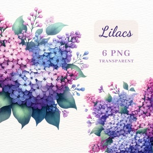 Bundle de cliparts PNG fleurs lilas, 6 images PNG de haute qualité pour la fabrication de cartes, cartes-cadeaux d'anniversaire, journal indésirable, Digital Palnner, scrapbooking