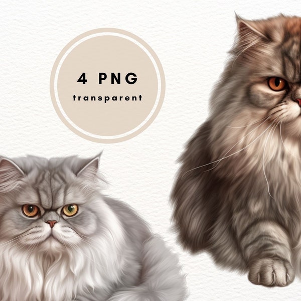 Persian Cat Clipart, PNG Clipart Bundle, Long Fur Kitten, Card Making, Gift For Cats Lovers, Scrapbooking, 4 PNG Images, Sublimation