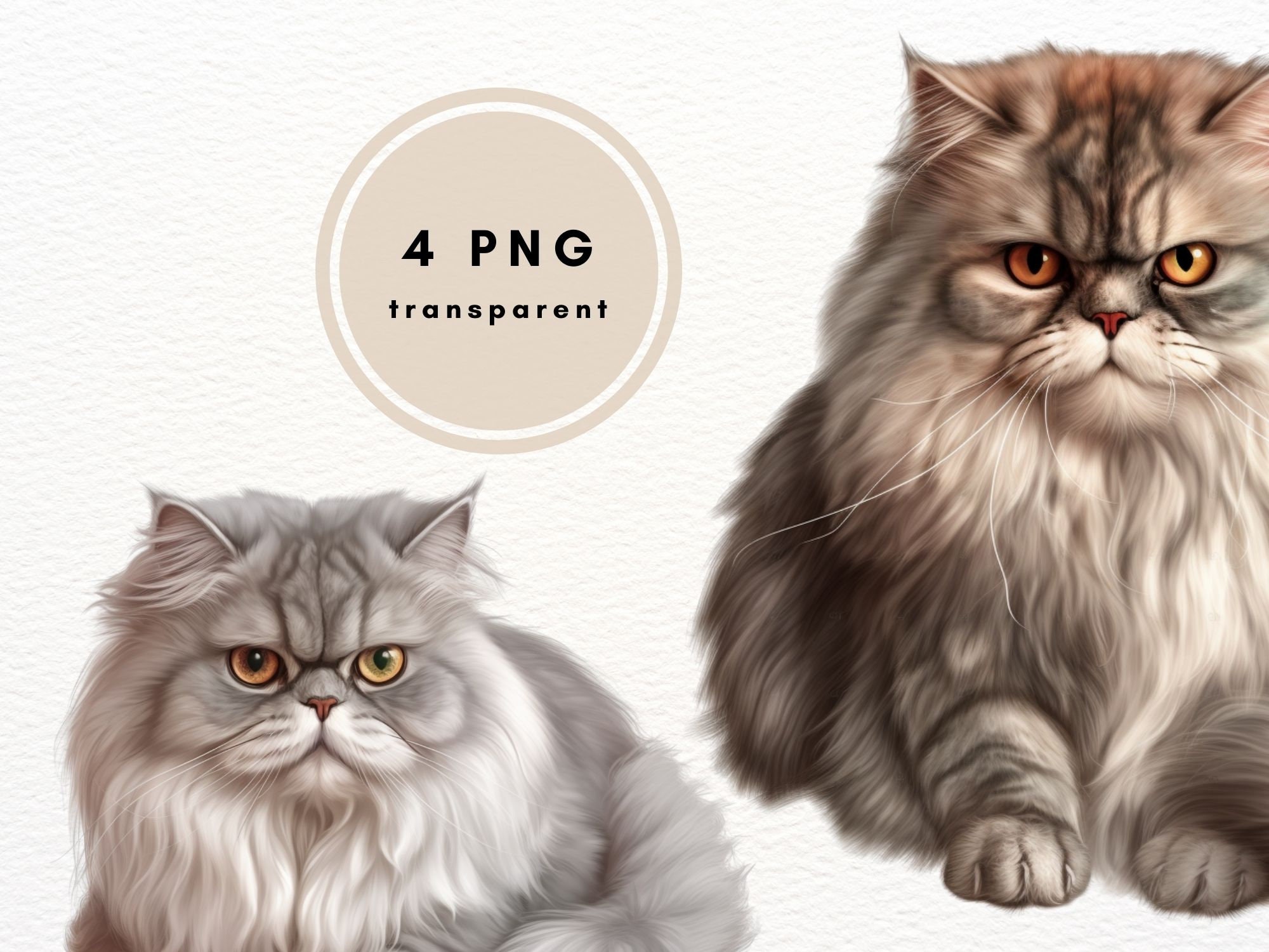 Persian Cat Clipart PNG Clipart Bundle Long Fur Kitten Card - Etsy Canada