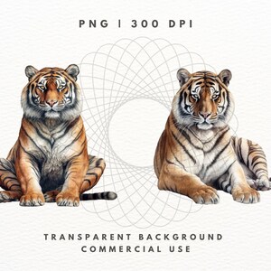 Tiger Clipart PNG-paket, Safaridjurbilder (digital nedladdning) bild 4