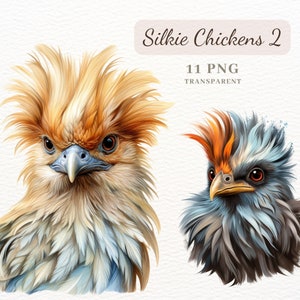 Silkie Chicken Clipart Nr. 2, PNG Clipart Bundle, 11 High Quality Chicken Images, Scrapbooking Papers, Mixed Media, Sublimation, POD Allowed