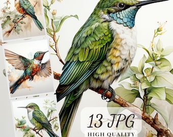 Könnte beinhalten: Eine digitale Illustration von drei Kolibris, die auf Ästen mit weißen Blüten sitzen. Die Kolibris sind grün, blau und rot mit langen Schnäbeln. Der Hintergrund ist weiß mit einem Aquarelleffekt.