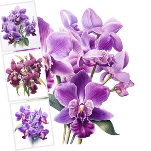 Pacote de clipart floral, clipart de orquídeas roxas, flores exóticas, clipart de flores roxas, Junk Journal, uso comercial, 16 imagens, sublimação