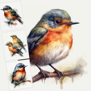 Robin Clipart, 12 High Quality JPG Images, Digital Download, Card Making, Junk Journal Cover, Digital Paper Craft, POD Allowed, Sublimation