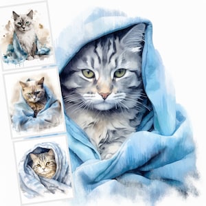 Chat avec couverture bleue Clipart, 18 JPG de haute qualité, Bundle Clipart numérique, fabrication de cartes, téléchargement numérique, artisanat en papier numérique, Sublimation