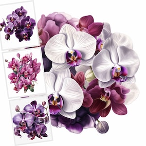 Clipart Floral, Clipart De Orquídeas Roxas, Flores Exóticas, Pacote De Clipart, Clipart De Buquê De Casamento, Orquídea Roxa JPG, 12 Imagens, Sublimação