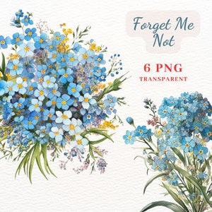Forget Me Not Clipart, fleurs bleues PNG Clipart Bundle, 6 images PNG de haute qualité, art mural, illustration imprimable Myosotis, POD permettre