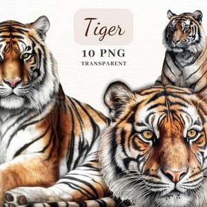 Tiger Clipart PNG, PNG Clipart Bundle, Safari Animals Clipart, 10 High Quality PNG Images, Sublimation, Scrapbooking, Collages, Cards