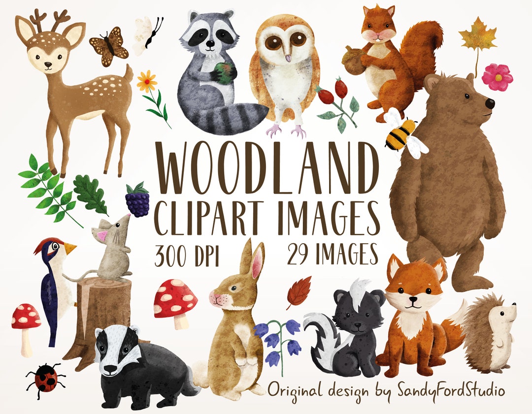 Watercolor Woodland Animals Clipart Collection - Instant Download - Etsy