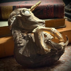 Mummified Unicorn Foal- ethically sourced