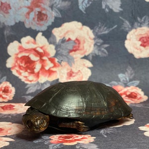 May include: A black turtle with its head tucked inside its shell, resting on a floral patterned fabric.