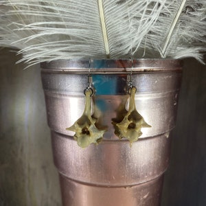 Może przedstawiać: Para kolczyków wykonanych z kości, w jasnobrązowym kolorze. Kolczyki wiszą na srebrnym haczyku.