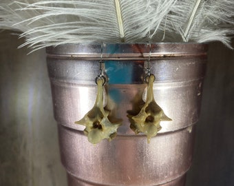 Pythonwirbel Ohrringe/hypoallergen