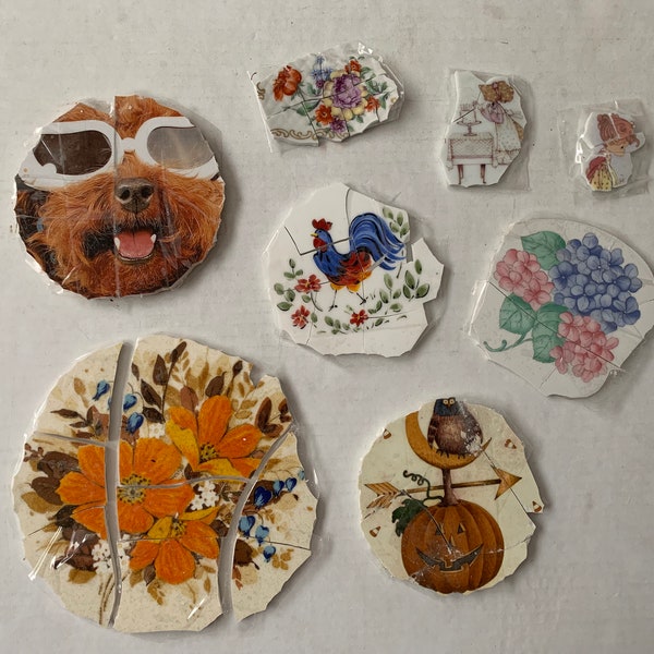 I Break ... You Create ! Colorful & Fun - Bulk Lot of 8 Broken Plate Focal Pieces - China Center Pieces Unique Mosaic Tiles Art Objects