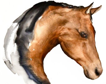 Cheval arabe - Aquarelle, Aquarelle De cheval, Aquarelle de cheval, Art du cheval sauvage, Art du cheval arabe, Art du cheval moderne, Aquarelle moderne, Art
