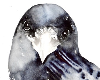 Crow Watercolor - Crow Portrait, Crow Art, Crow Illustration, Crow Decor, Crow Painting, Modern Crow Art, Abstract Crow, Crow Watercolor