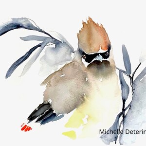 Cedar Waxwing - Watercolor Print, Watercolor Art, Cedar Waxwing Decor, Waxwing, Modern Watercolor, Bird Watercolor, Nature Watercolor Art