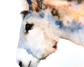 Donkey Study - Watercolor Print, Watercolor Giclee, Donkey Print, Donkey Watercolor, Limited Edition Art, Donkey Art, Burro Art, Wild Donkey