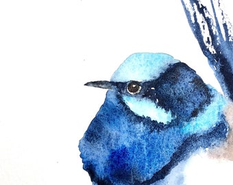 FairyWren - Superb Fairywren, Aquarelle Print, Aquarelle Bird, Australian Bird Art, Bird Illustration, Blue Bird, Nursery Art, Bird Art