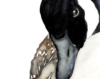Goose - Watercolor Print, Watercolor Bird, Watercolor Goose, Canada Goose, Goose Art, Goose Decor, Bird Watercolor, Goose Painting, Goose