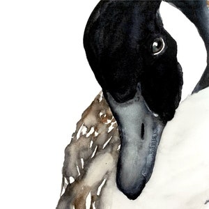 Goose - Watercolor Print, Watercolor Bird, Watercolor Goose, Canada Goose, Goose Art, Goose Decor, Bird Watercolor, Goose Painting, Goose