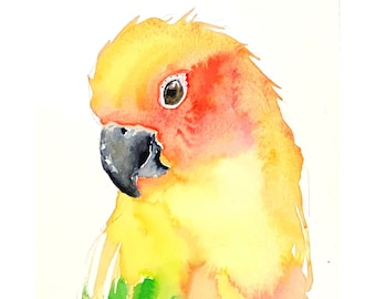 Sun Conure - Watercolor Parrot, Parrot Art, Parrot Watercolor, Colorful Bird Art, Whimsical Bird Art, Modern Bird Art, Bird Illustration