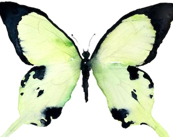 Papillon en vert - Aquarelle, Aquarelle, Aquarelle Papillon, Papillon papillon, Papillon vert, Aquarelle moderne, Papillons