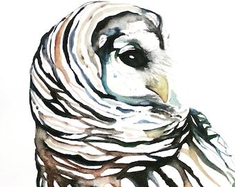 Owl Watercolor - Watercolor Print, Barred Owl Art, Barred Owl Watercolor, Barred Owl Decor, Woodland Animal Art, Woodland Watercolor, Birds