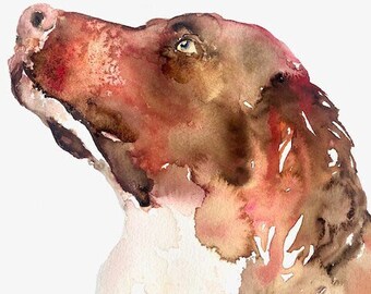 Spaniel - Dog Watercolor, Watercolor Dog, Watercolor Springer Spaniel, Spaniel Decor, Spaniel Painting, Spaniel Watercolor, Springer Spaniel