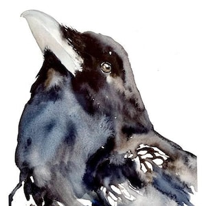 Raven&#39;s Pose - Watercolor Print, Raven Watercolor, Raven Art, Crow Art, Raven Painting, Modern Watercolor, Raven Decor, Modern Raven Art