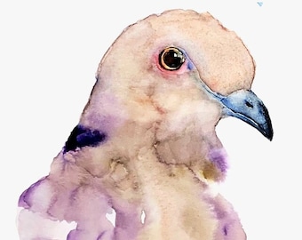 Mourning Dove - Watercolor, Watercolor Print, Dove art, Dove Watercolor, Pigeon Art, Dove Art, Mourning Dove Art, Mourning Dove Painting