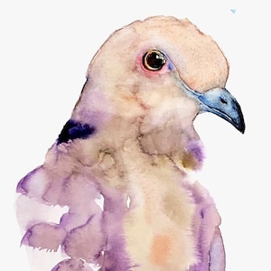 Mourning Dove - Watercolor, Watercolor Print, Dove art, Dove Watercolor, Pigeon Art, Dove Art, Mourning Dove Art, Mourning Dove Painting