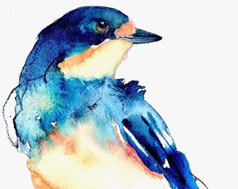 Barn Swallow Study - Watercolor Print, Watercolor Giclee, Bird Print, Bird Watercolor, Swallow Decor, Swallow Art, Barn Swallow Watercolor